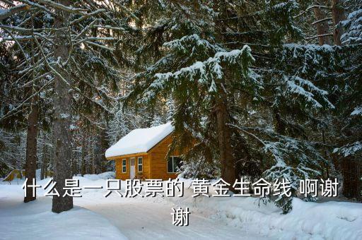 什么是股市生命線，什么是一只股票的 黃金生命線 啊謝謝