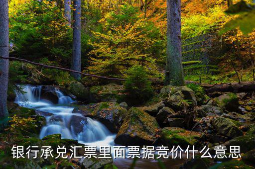 票據(jù)網(wǎng)交易是什么意思，中國票據(jù)網(wǎng)httpwwwzgpjwcom中的票據(jù)轉(zhuǎn)貼直貼買入直貼賣出