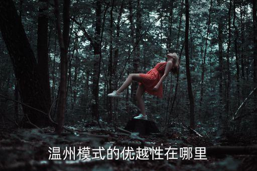 溫州模式為什么具有很強(qiáng)的經(jīng)濟(jì)性，溫州模式取得成功的原因6分題