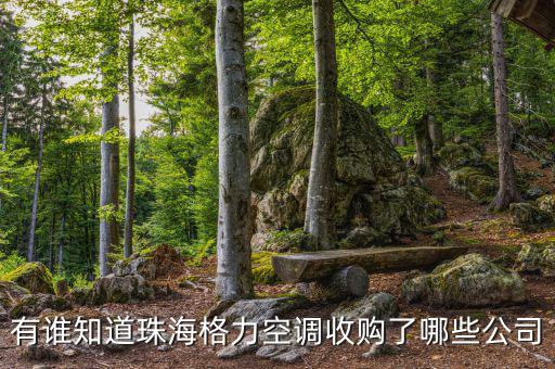 格力收購(gòu)什么，有誰(shuí)知道珠海格力空調(diào)收購(gòu)了哪些公司
