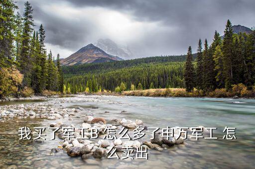 我買(mǎi)了軍工B 怎么多了申萬(wàn)軍工 怎么賣(mài)出