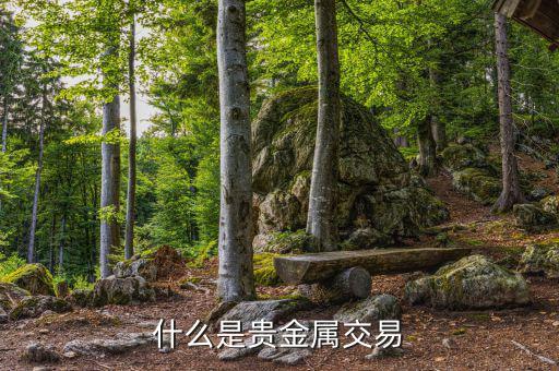 貴金屬交易是什么，什么是貴金屬交易