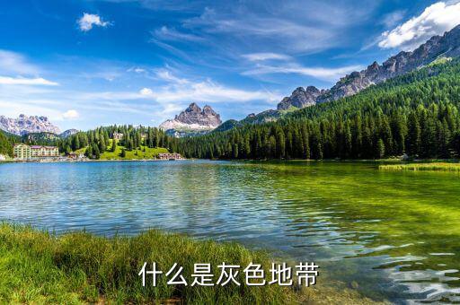 什么是項目灰色地帶，什么是灰色地帶