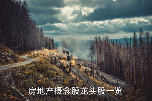 地產(chǎn)業(yè)有什么股票，房地產(chǎn)股票有哪些