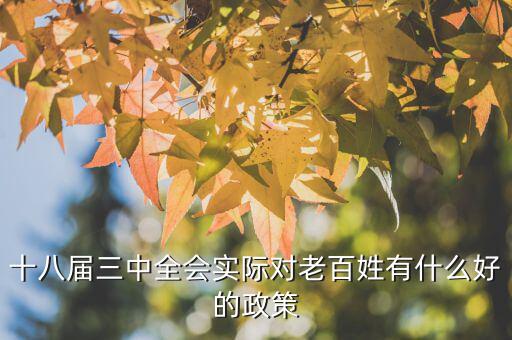 十八屆三中以來對(duì)此出臺(tái)了什么文件，剛剛閉幕的十八屆三中全會(huì)發(fā)布的公告其核心內(nèi)容是什么