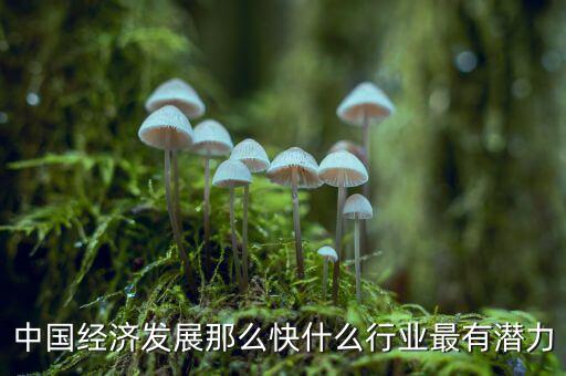 未來中國經(jīng)濟(jì)什么行業(yè)可以，中國經(jīng)濟(jì)發(fā)展那么快什么行業(yè)最有潛力