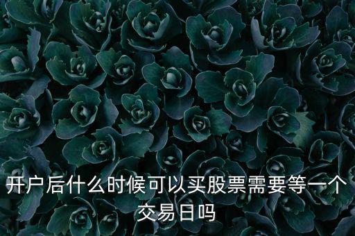 開(kāi)戶后什么時(shí)候可以買(mǎi)股票需要等一個(gè)交易日嗎