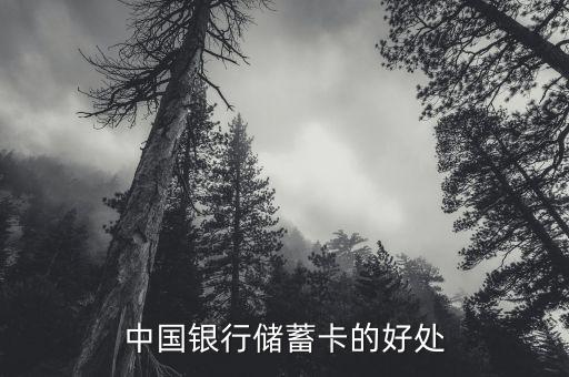 中國銀行存蓄卡有什么好處，中國銀行儲蓄卡的好處