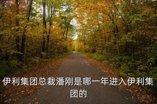 伊利集團總裁潘剛是哪一年進入伊利集團的