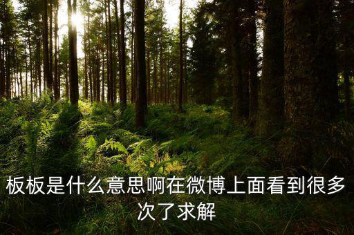 要板了是什么意思，板板是什么意思啊在微博上面看到很多次了求解