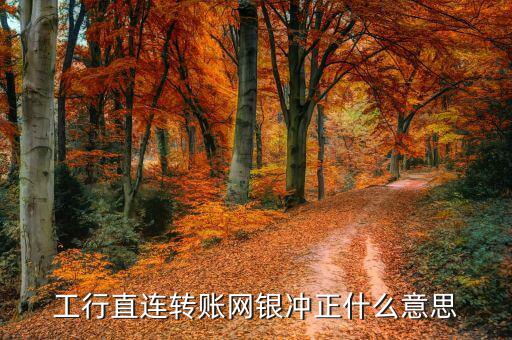 工行直連轉賬網銀沖正什么意思