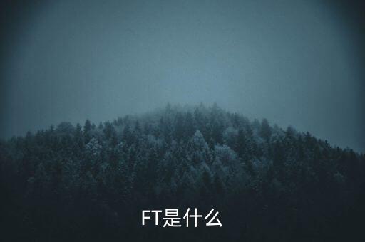 什么是FT調(diào)查，F(xiàn)T是什么