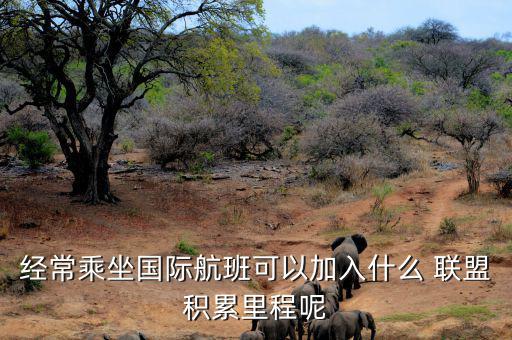 星空聯(lián)盟積分怎么算,南航、東航可通過明珠卡共享積分等