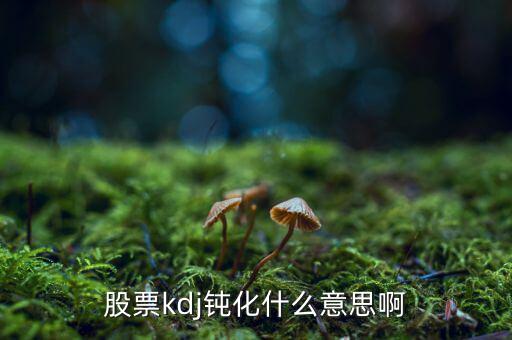 什么是kd高檔鈍化，KDJ鈍化是什么意思