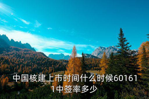 中國(guó)核建上市時(shí)間什么時(shí)候601611中簽率多少