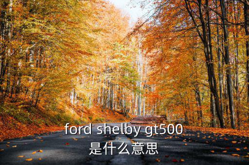 東盟油500是什么，ford shelby gt500是什么意思