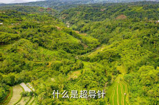 射頻超導(dǎo)腔是什么，什么是超導(dǎo)針