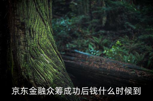 京東金融活動什么時候結(jié)束，金條的活動什么時候結(jié)束啊