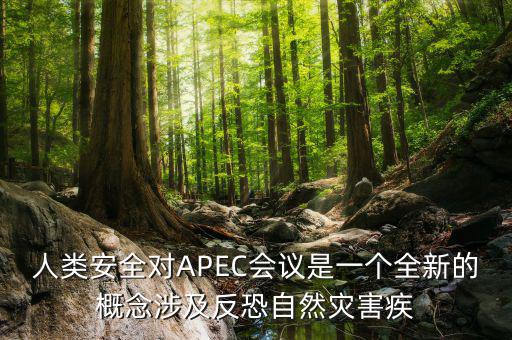 2014apec峰會(huì)簽署了什么文件，亞洲和太平洋地區(qū)經(jīng)濟(jì)合作會(huì)議簡(jiǎn)稱 APEC