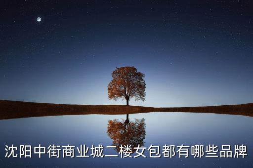 中街商業(yè)城都有什么品牌，沈陽中街商業(yè)城二樓女包都有哪些品牌