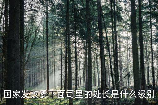 央企處長是什么級別，央企比如移動 電信 聯(lián)通 中石油石化 這些企業(yè)縣的老總是什么級別