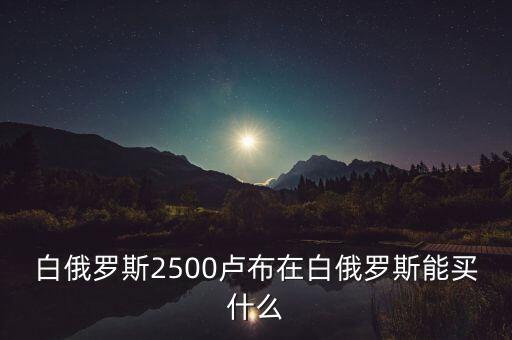 白俄羅斯盧布50可以買什么，白俄羅斯2500盧布在白俄羅斯能買什么