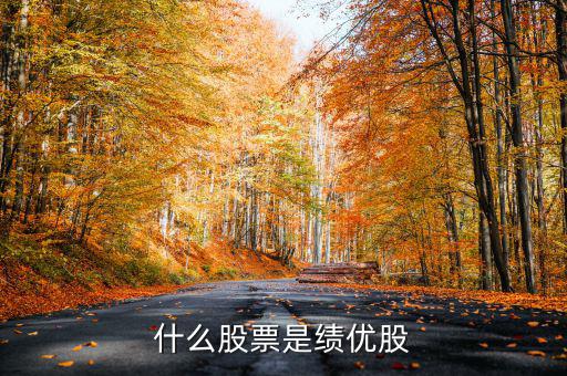 什么是績(jī)效股票，什么叫成長(zhǎng)股和績(jī)效股