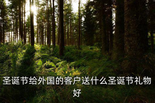 中國(guó)出口什么圣誕節(jié)禮物，在中國(guó)過(guò)圣誕節(jié)一般送什么禮物