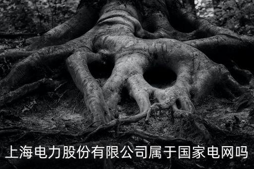 上海電力什么時(shí)候上市的，上海電力股份有限公司屬于國家電網(wǎng)嗎