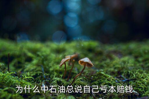 中石油為什么虧損，中石油為什么虧損慘重
