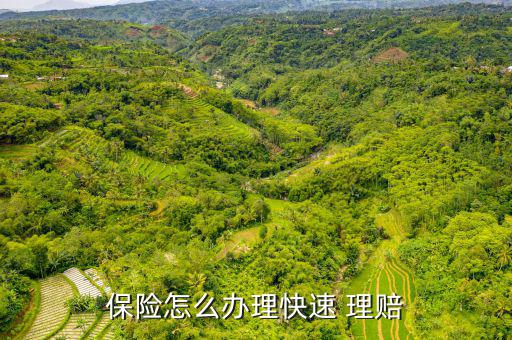 快速理賠不夠怎么辦,車(chē)險(xiǎn)快遞理賠流程:
