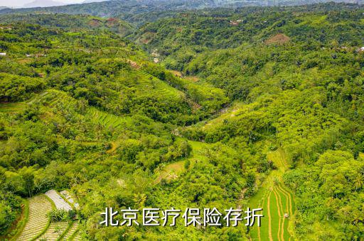 北京醫(yī)保存折是什么，北京醫(yī)保存折