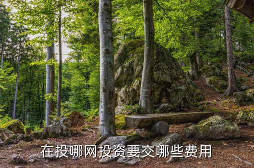 投哪網(wǎng)管理費(fèi)什么時(shí)候收取，投哪網(wǎng)收手續(xù)費(fèi)嗎