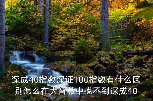 深成40指數深證100指數有什么區(qū)別怎么在大智慧中找不到深成40