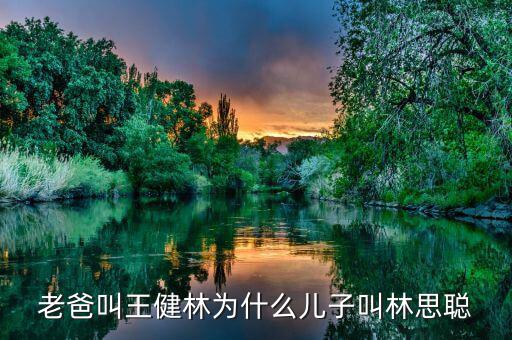 王健林和王思聰是什么關(guān)系，老爸叫王健林為什么兒子叫林思聰