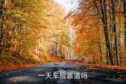 一天車險是什么，一天車險怎么停駛才有錢