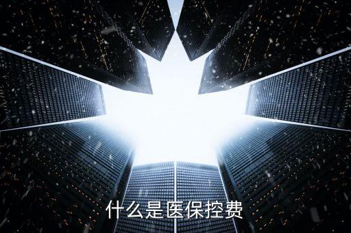 什么是醫(yī)?？刭M