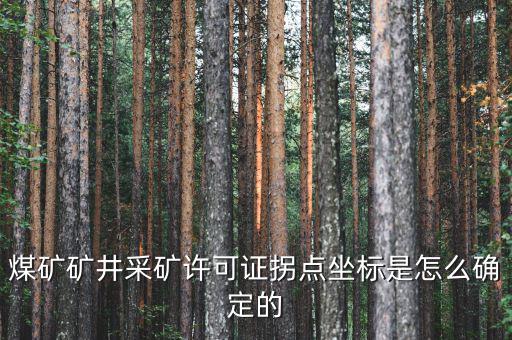 礦區(qū)范圍拐點坐標什么意思，煤礦礦井采礦許可證拐點坐標是怎么確定的