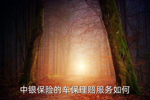 中銀保險(xiǎn)車(chē)險(xiǎn)vip客戶(hù)有什么權(quán)利，中銀保險(xiǎn)的車(chē)保理賠服務(wù)如何