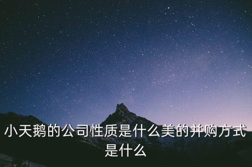 天鵝有什么并購(gòu)案，小天鵝 合并的品牌