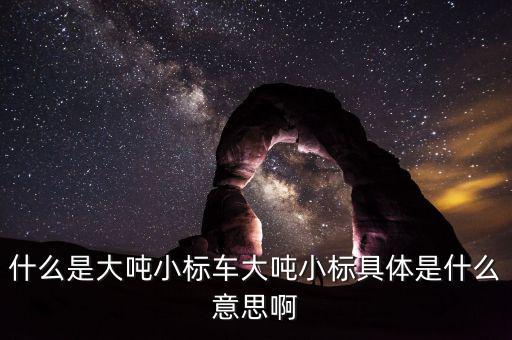 非標(biāo)轉(zhuǎn)標(biāo)是什么意思，上角標(biāo)a是什么意思