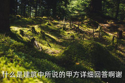 為什么說mint是甲方，MINTS DOUBLEMINT是什么意思