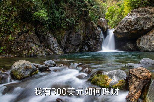 美元升值做什么理財(cái)，原創(chuàng)美元拼命升值到底要干什么