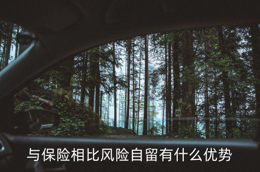 什么是風險自留，股票里有個自留的專業(yè)用語是什么意思