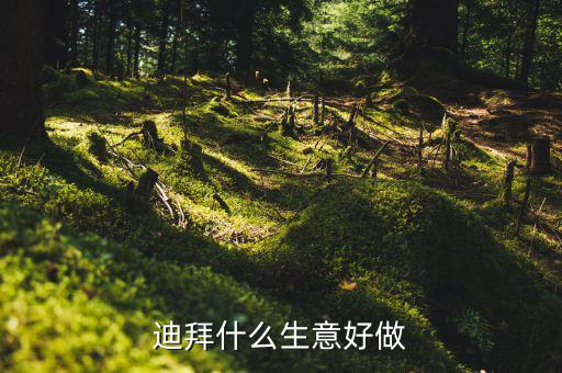 迪拜做什么生意好，國(guó)人在迪拜都做什么生意