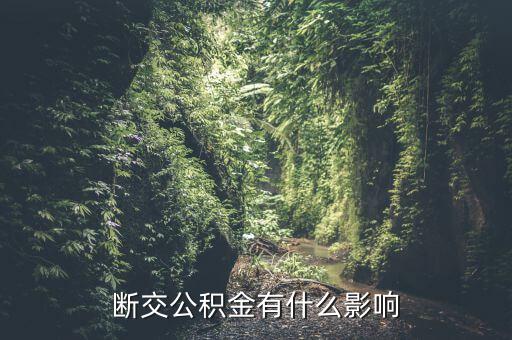 公積金斷了有什么影響，停繳公積金有什么影響