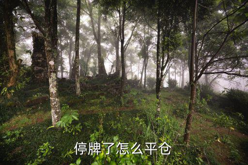 股票黑名單什么意思，股票配售黑名單是什么意思