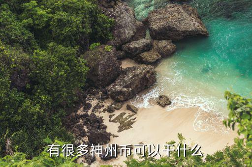 神州幣有什么用，神州幣充值卡是什么
