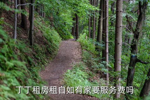 丁丁租房都收取什么費(fèi)用，丁丁租琴的費(fèi)用怎么算