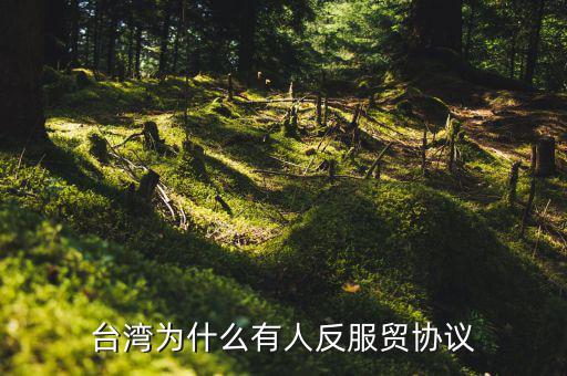 臺灣為什么反對服貿(mào)協(xié)定，臺灣為什么反對服貿(mào)協(xié)定